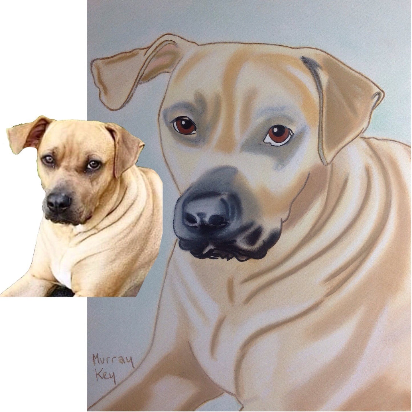 Portraits